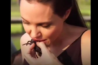 &nbsp;Angelina Jolie cuoca insetti (vista)