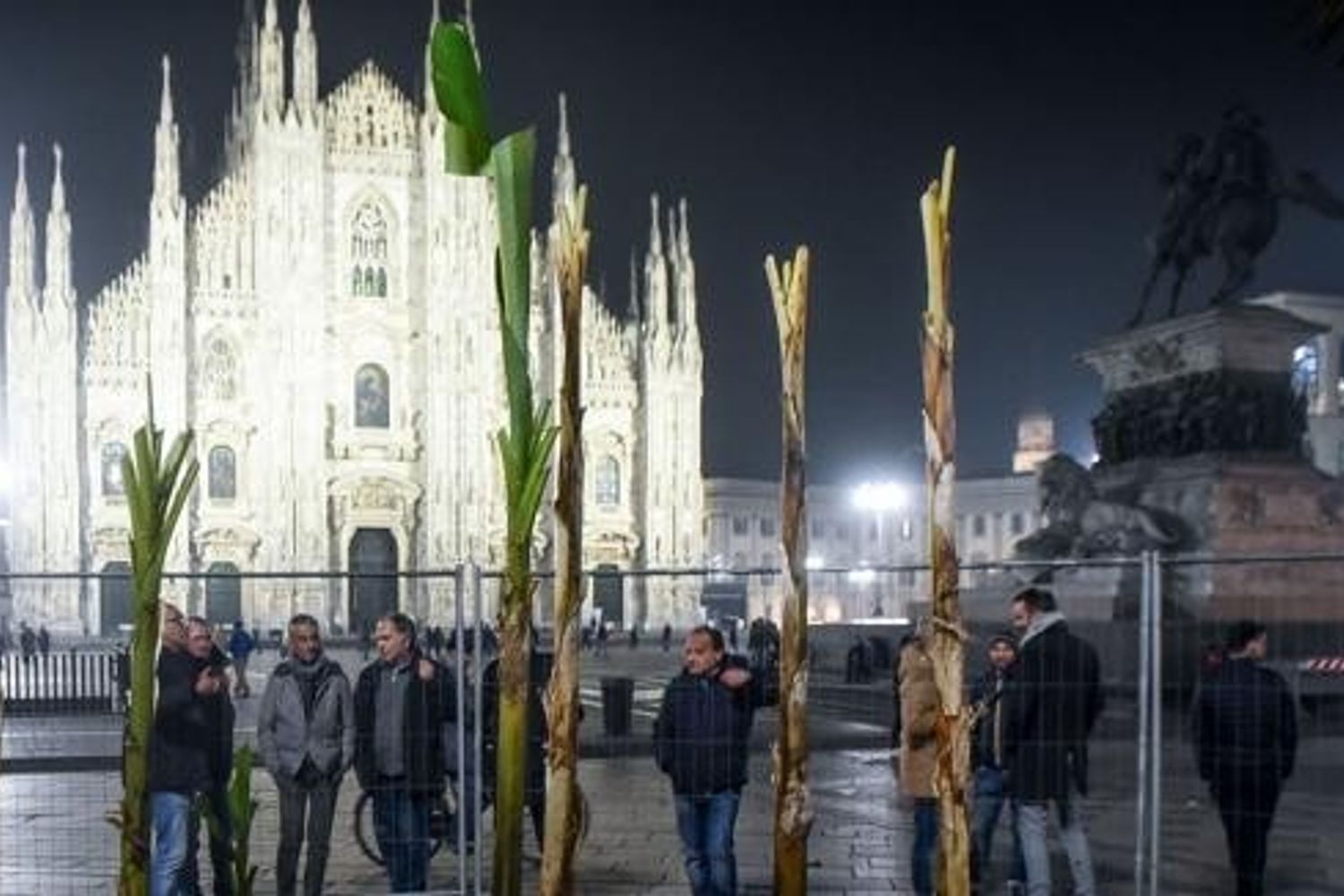 palme a milano (twitter Salvatore Varchetta)&nbsp;