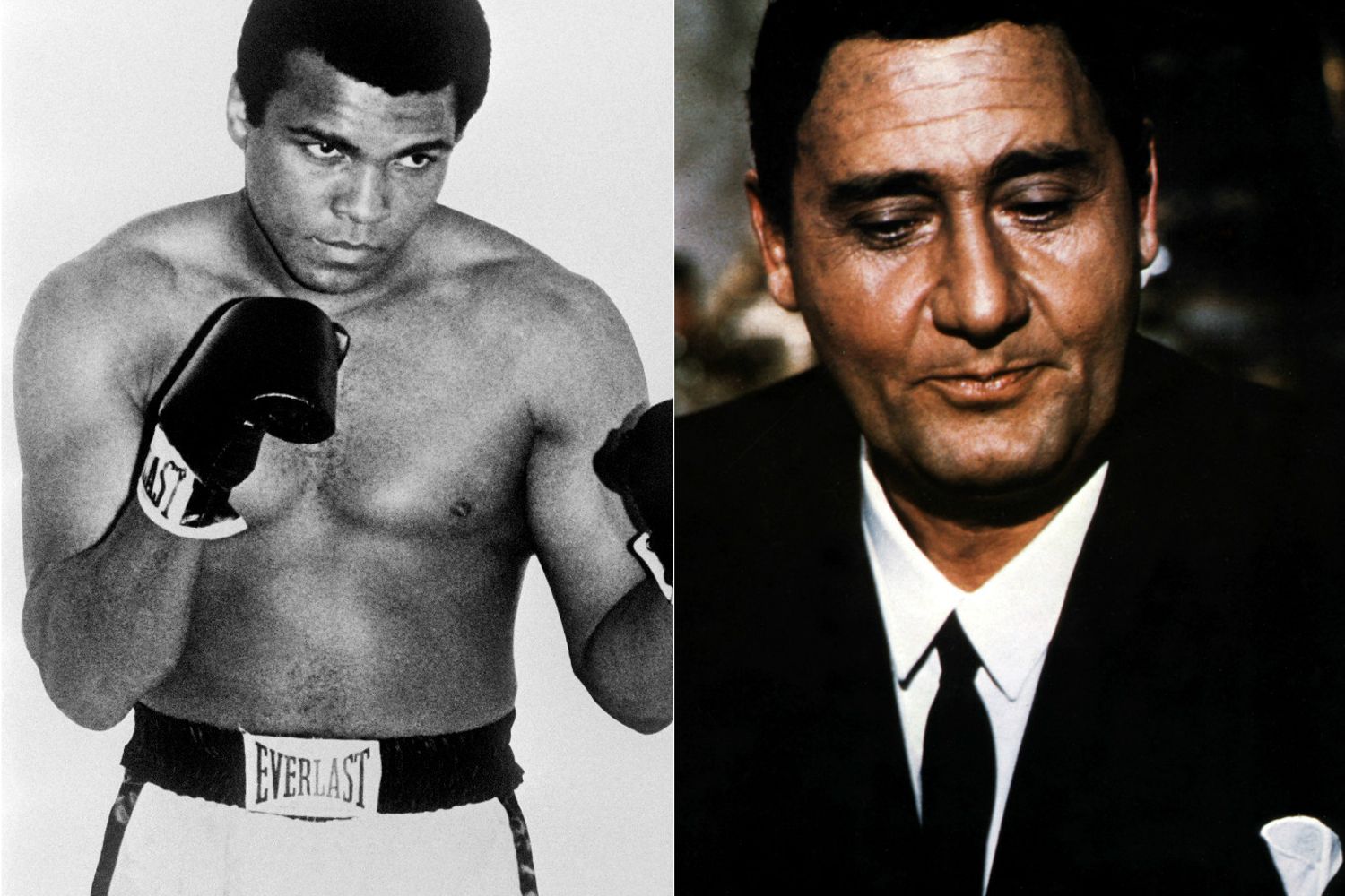 Accadde oggi 24 febbraio Cassius Clay Alberto Sordi