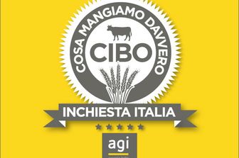 Cibo: 7 cose da sapere su quello che mangiamo