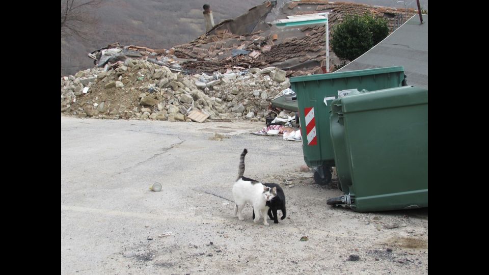 &nbsp;6 mesi dopo la scossa del 24 agosto, viaggio tra le macerie di Accumoli