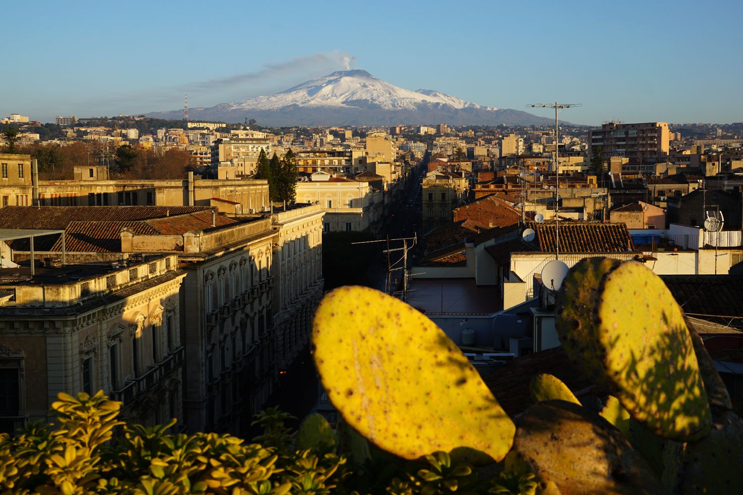 L'eruzione dell'Etna vista da Catania (Afp)&nbsp;
