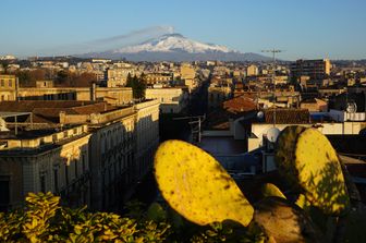 L'eruzione dell'Etna vista da Catania (Afp)&nbsp;