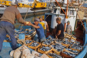 I numeri che hanno innescato la protesta dei pescatori