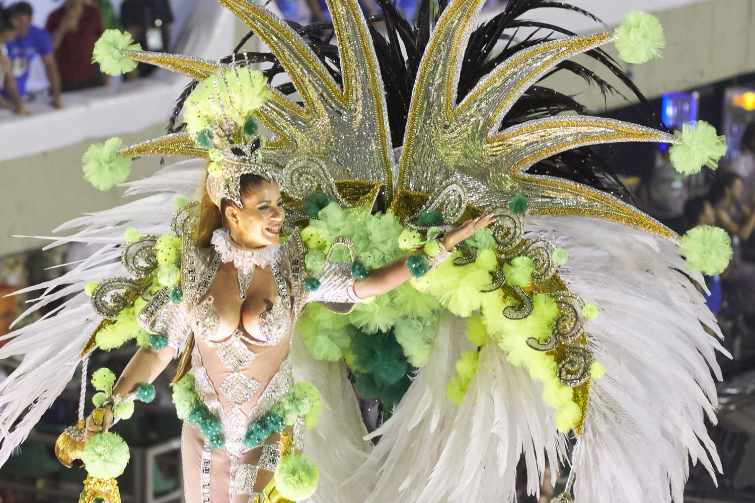 carnevale rio (Afp)&nbsp;