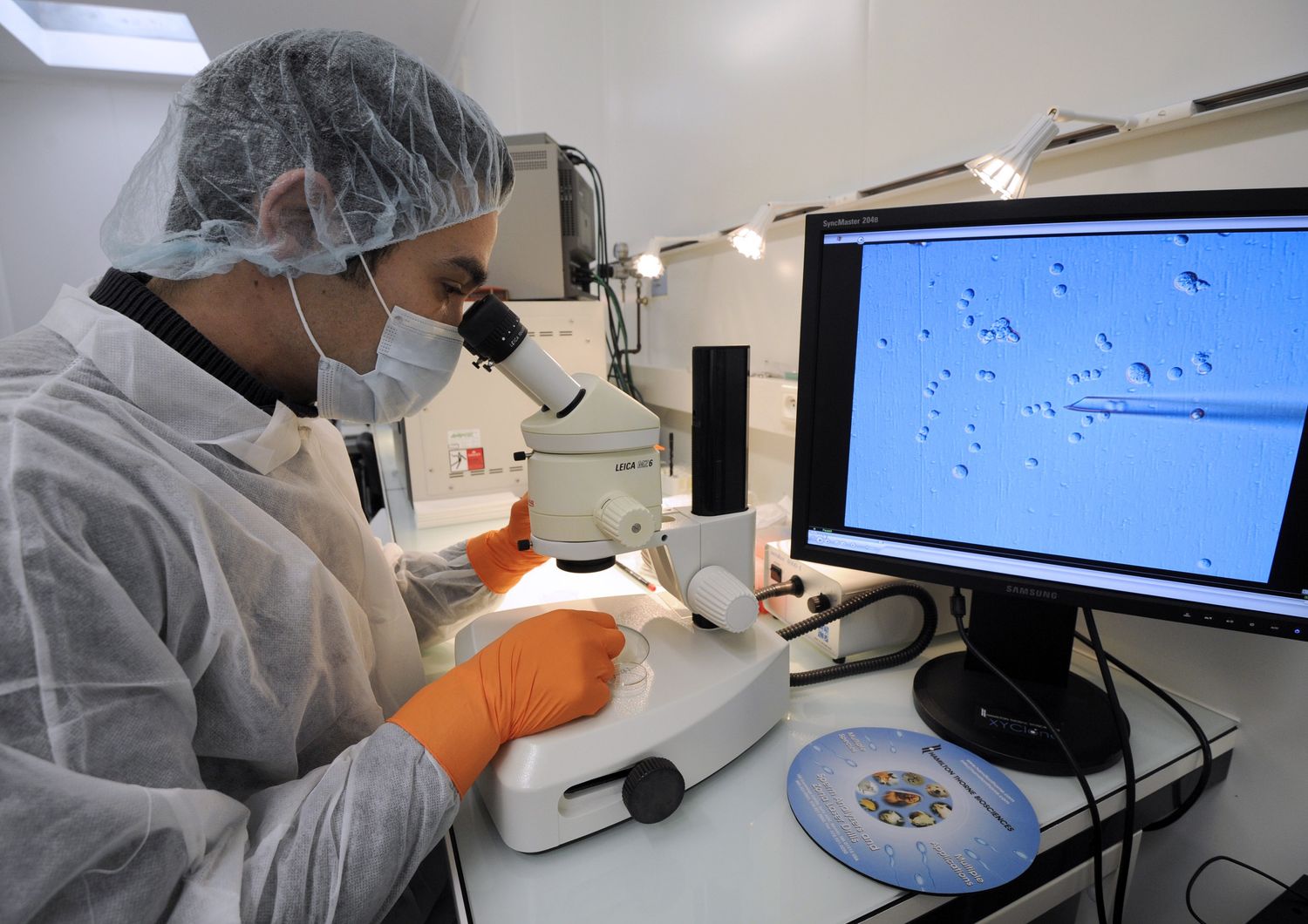 Cosa vuol dire per il futuro della medicina aver creato un embrione in laboratorio