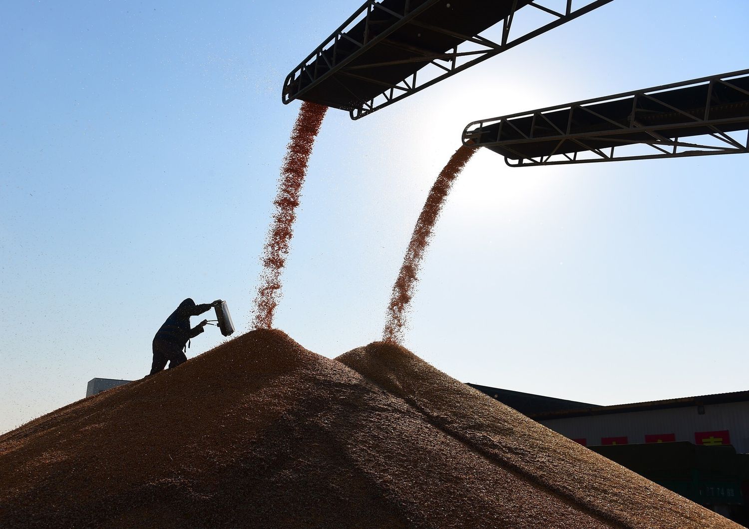 &nbsp;Mais lavorazione (Afp)