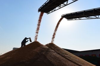 &nbsp;Lavorazione di cereali (Afp)