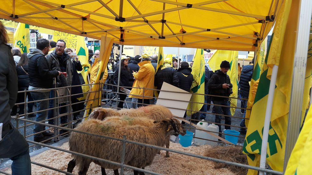 Le aziende agricole del Lazio