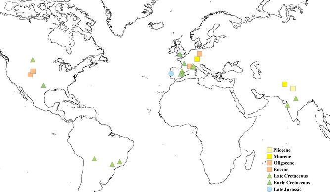 &nbsp;Mappa dei ritrovamenti di uova di coccodrillo (Foto da Plos One)