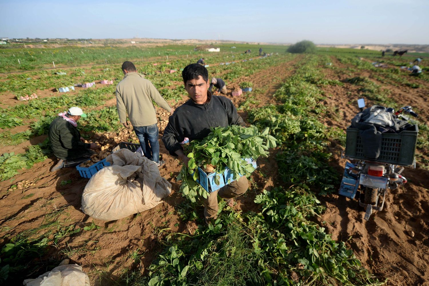 agromafie caporalato (agf)&nbsp;