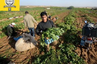 Agromafie caporalato con logo cibo inchiesta italia