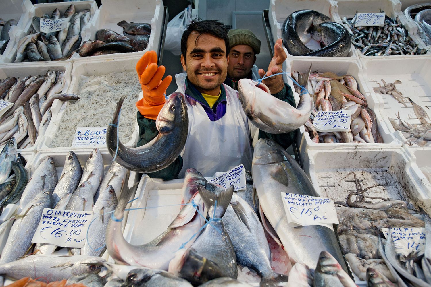 Immigrati, mercato rionale a Roma, banco del pesce (Agf)&nbsp;