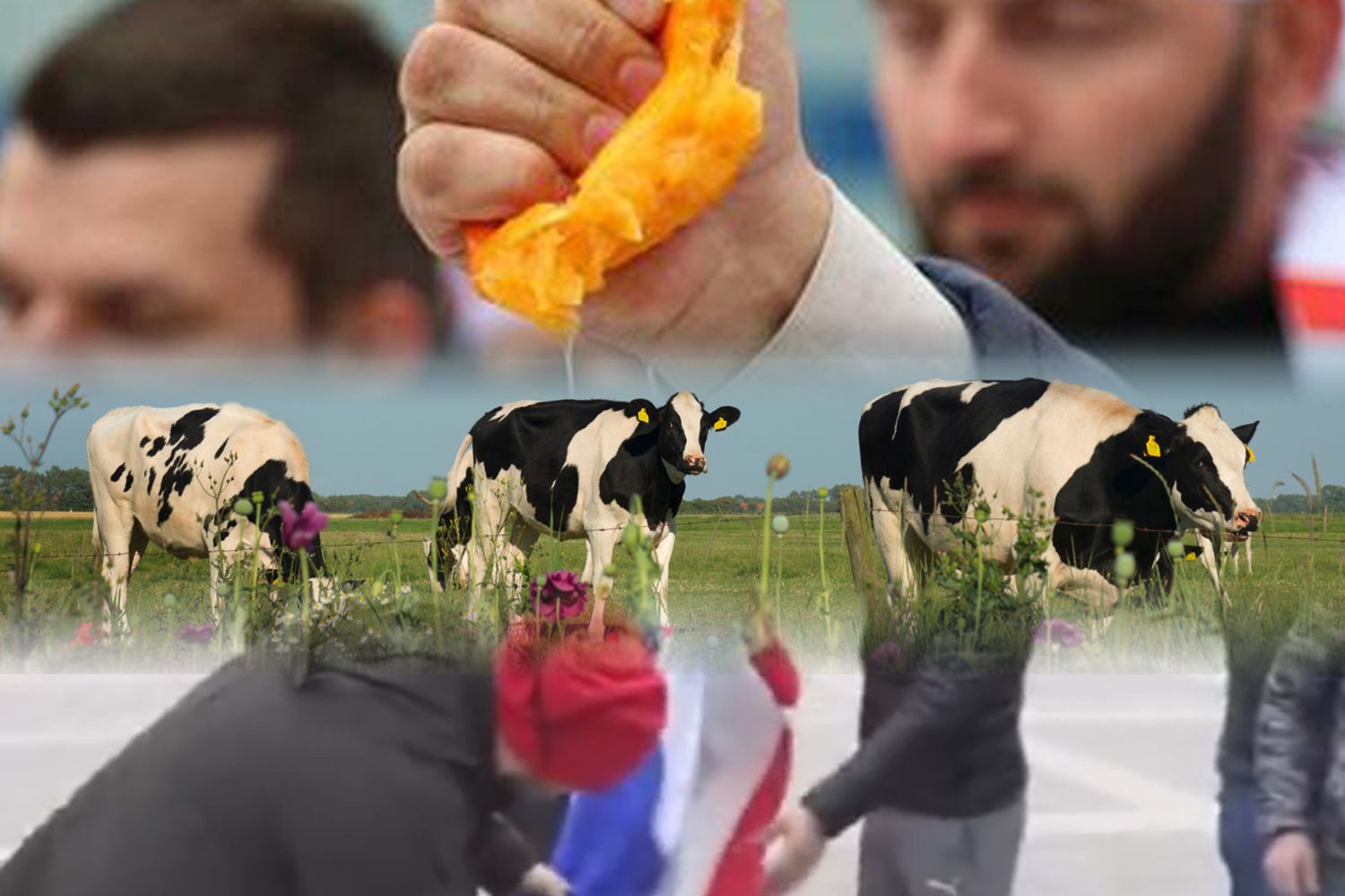 &nbsp;combo proteste in Turchia