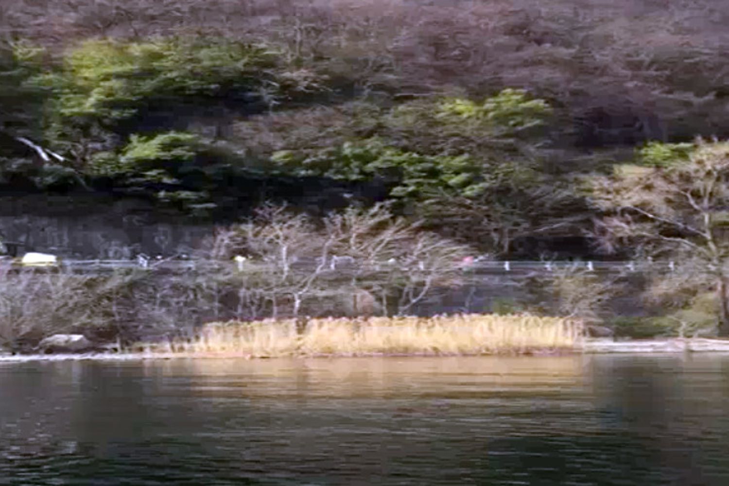 frana sulla statale del Lago Maggiore&nbsp;
