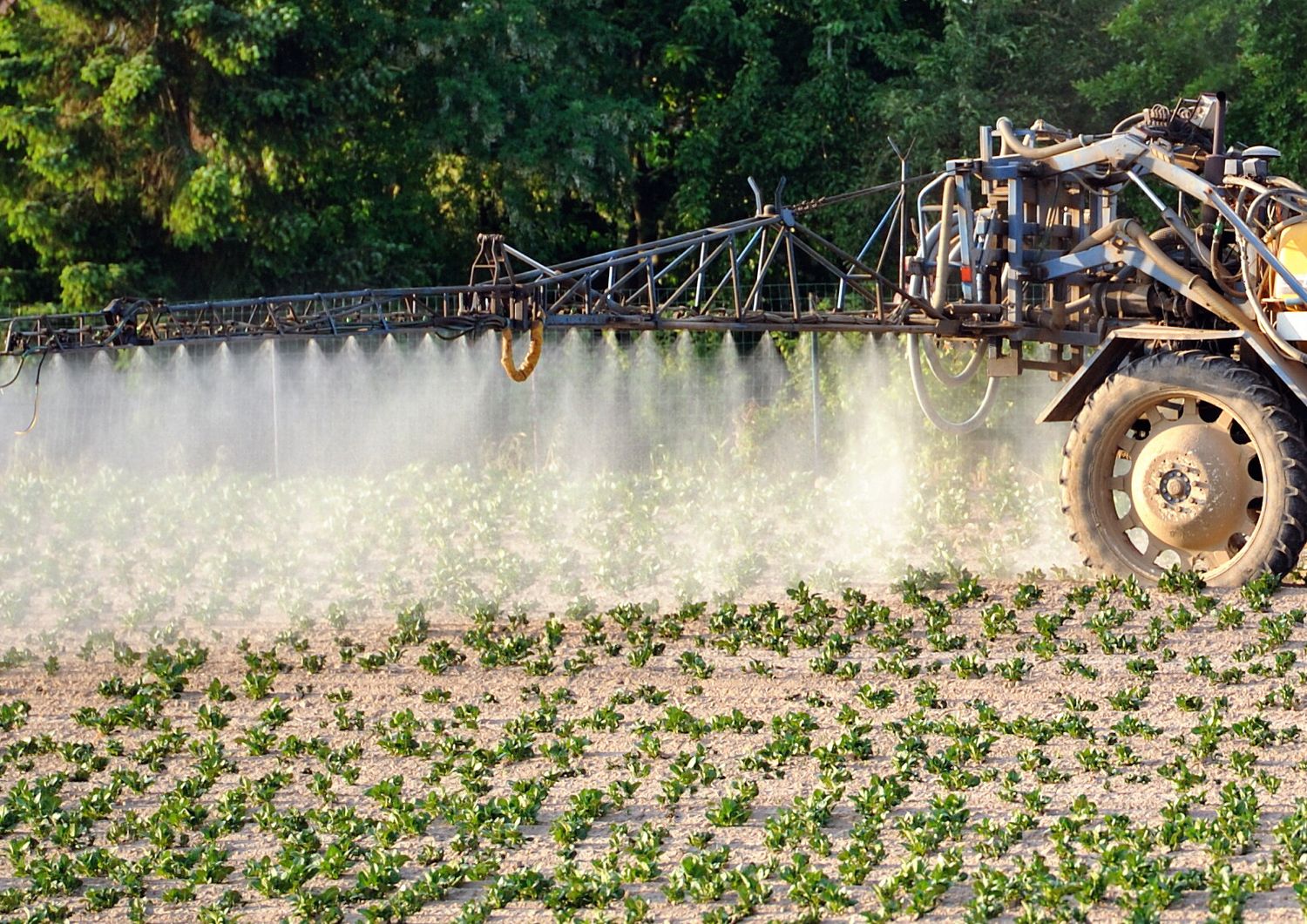 &nbsp;Pesticidi agricoltura (Afp)