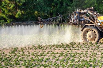 &nbsp;Pesticidi agricoltura (Afp)