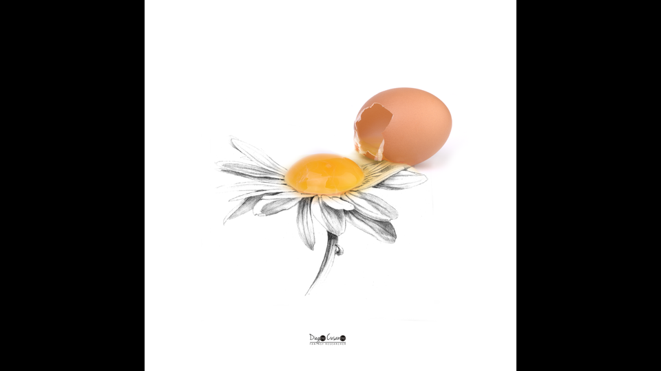 Margherita - Diego Cusano