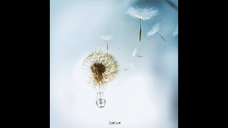 Omaggio alle ragazze morte in Catalogna - Diego Cusano