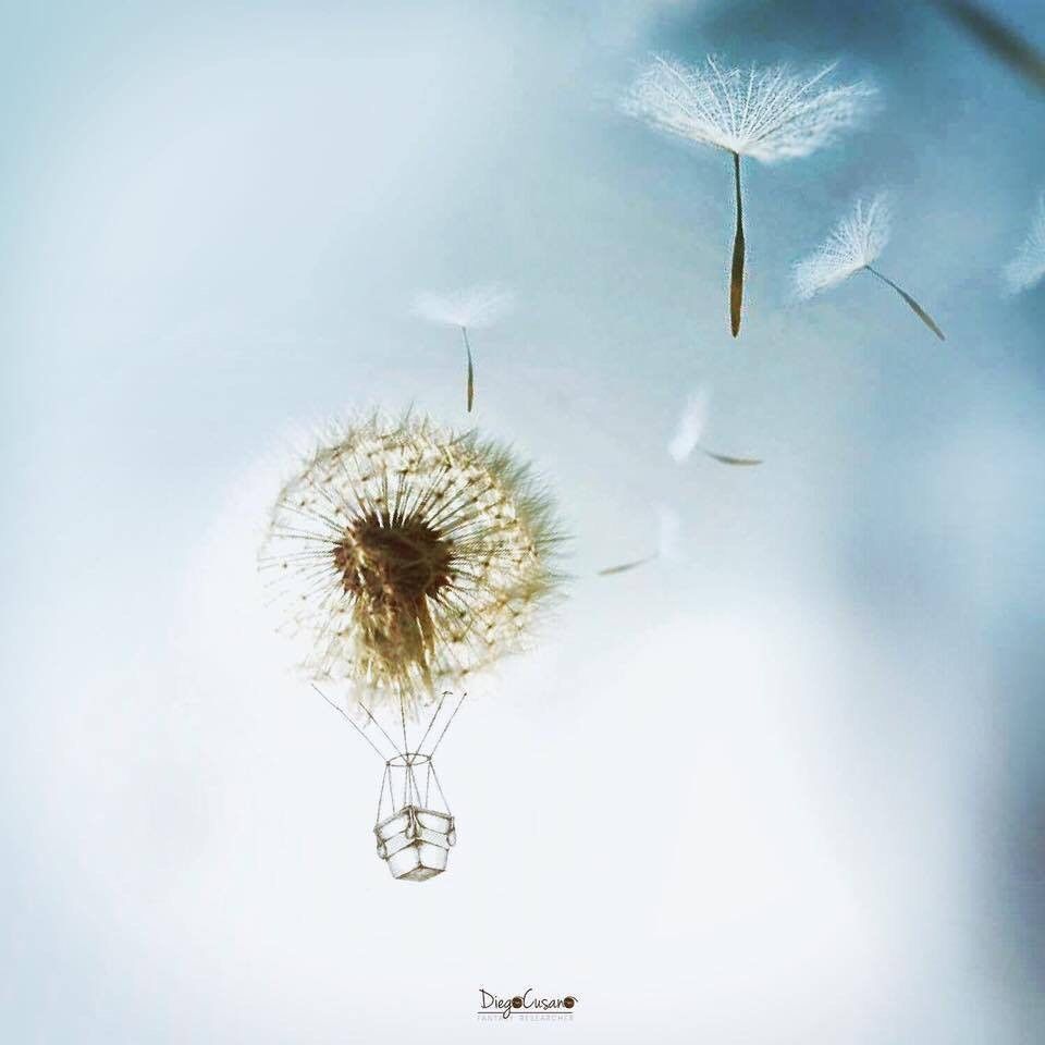 Omaggio alle ragazze morte in Catalogna - Diego Cusano