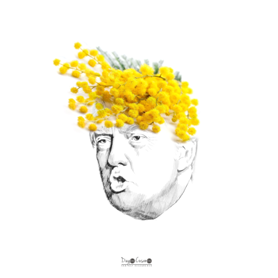 Donald Trump - Diego Cusano