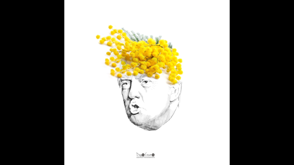 Donald Trump - Diego Cusano