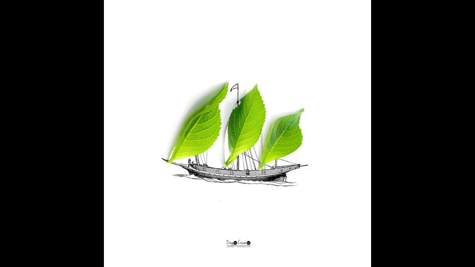 Barca a vela - Diego Cusano