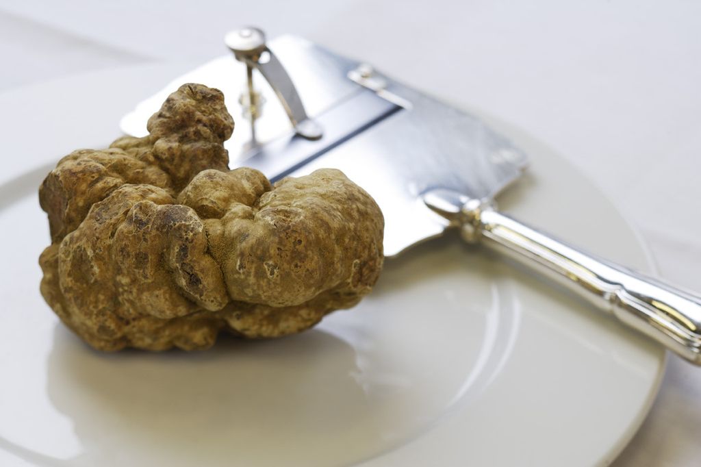 &nbsp;Tartufo delle Langhe