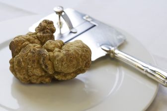 &nbsp;Tartufo delle Langhe