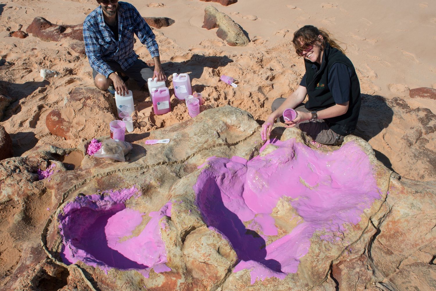 Anthony Romilio e Linda Pollard, Walmadany di Dampier Peninsula, Australia,&nbsp;Cretaceo inferiore Broome &nbsp;