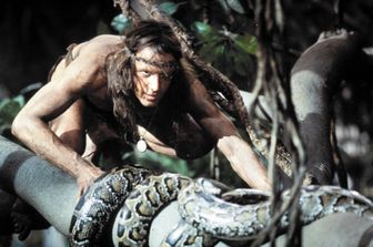 Christopher Lambert compie 60 anni, l'attore, nato negli Stati Uniti il 29 marzo 1957,ha raggiunto il successo cinematografico nel 1984 con il film 'Greystoke - La leggenda di Tarzan, il signore delle scimmie', diretto da Hugh Hudson. Nell'immagine (Afp) il giovane Christopher nei panni di Tarzan.&nbsp;&nbsp;