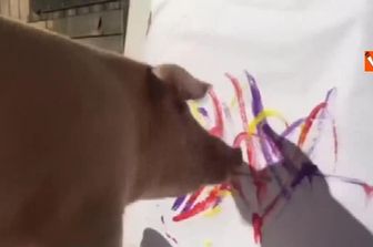 Il maiale-artista che dipinge come Picasso