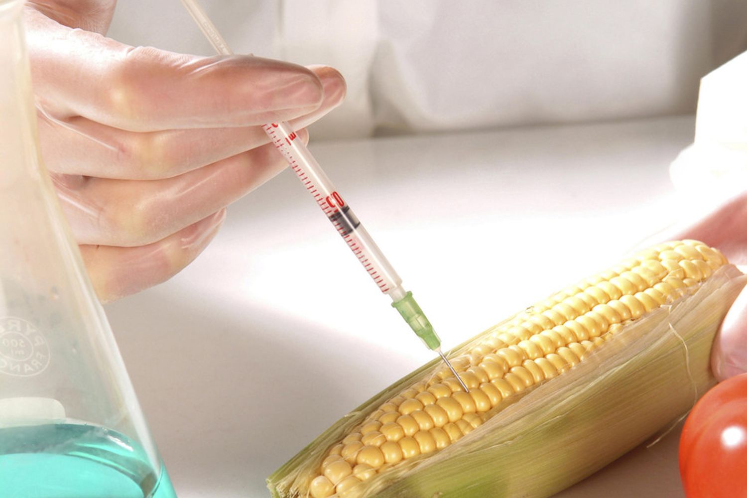 &nbsp;mais ogm (Agf)