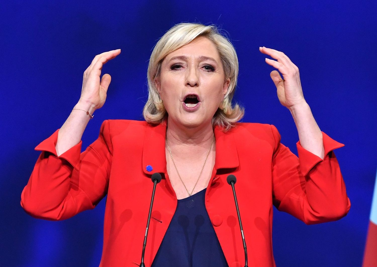 Marine Le Pen (Afp)