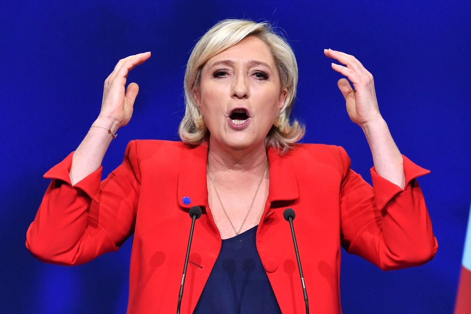 Marine Le Pen (Afp)