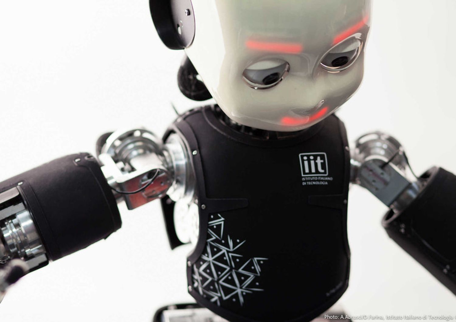 Nella robotica, che &egrave; l'attivit&agrave; pi&ugrave; tradizionale sono state realizzate diverse piattaforme umanoidi, animaloidi e plantoidi fra cui iCub, il 'cucciolo di robot' per lo studio cognitivo.