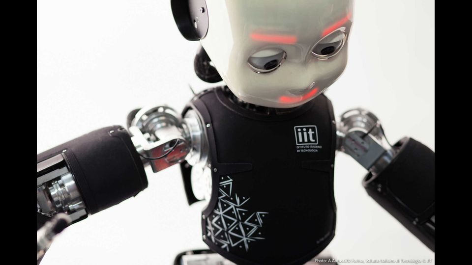 Nella robotica, che &egrave; l'attivit&agrave; pi&ugrave; tradizionale sono state realizzate diverse piattaforme umanoidi, animaloidi e plantoidi fra cui iCub, il 'cucciolo di robot' per lo studio cognitivo.