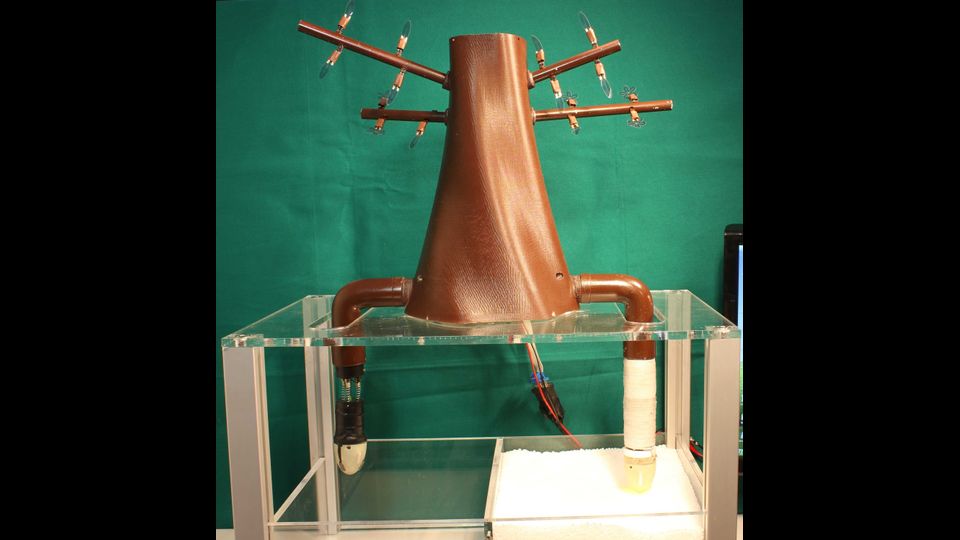 Dal 2006 al 2016 sono stati ottenuti progetti per un valore complessivo di oltre 150 milioni di euro. Tra i progetti esterni di maggiore rilevanza possono citarsi la Graphene Fet Flagship, iniziativa europea dedicata allo sviluppo del grafene e di altri materiali bidimensional