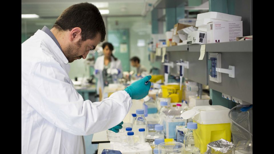 E' fondamentale che i ricercatori abbiano piena autonomia senza un 'capo', dei laboratori e un budget per la ricerca. In questo quadro l'ambiente internazionale e il livello di eccellenza giocano un ruolo fondamentale in termini di attrazione pi&ugrave; degli stipendi che sono di livello europeo. Dal 2006 sono stati acquisiti oltre 130 progetti europei, pi&ugrave; di 100 finanziamenti da altre istituzionali nazionali e internazionali, e oltre 270 progetti industriali.