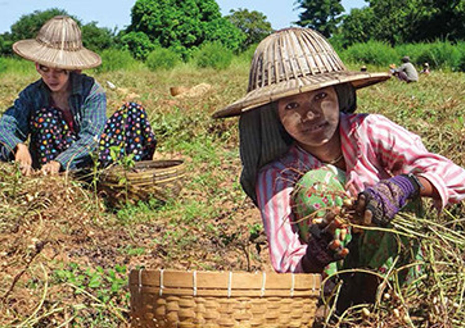 &nbsp;In Myanmar Eni Foundation ha avviato un progetto di sostegno alla popolazione della regione del Magway
