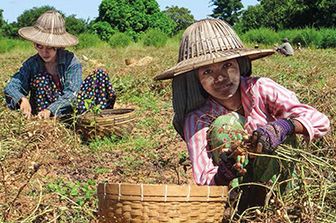 &nbsp;In Myanmar Eni Foundation ha avviato un progetto di sostegno alla popolazione della regione del Magway