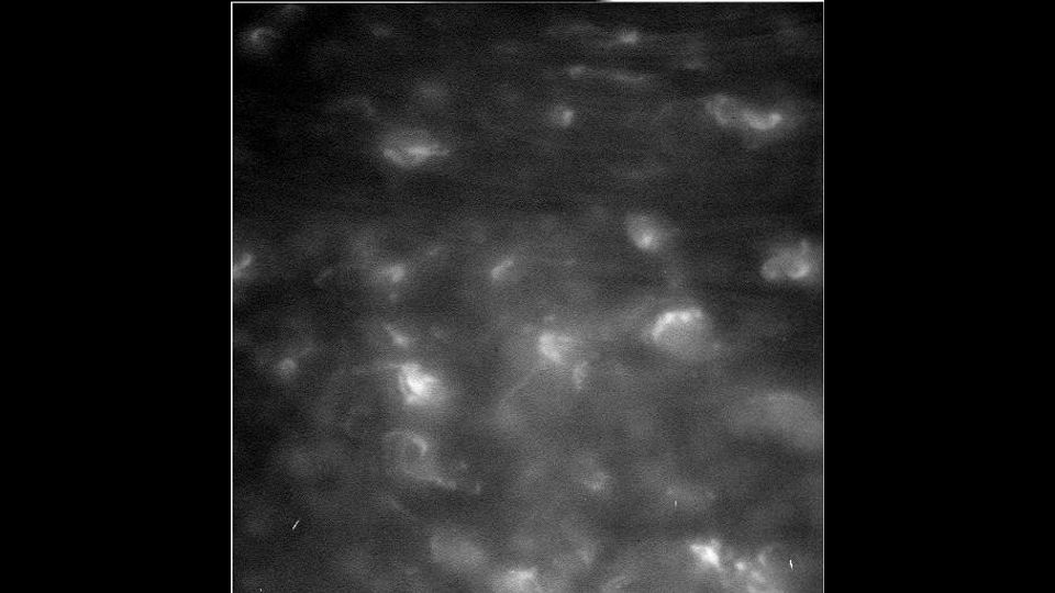 La seconda foto rappresenta un dettaglio dell'atmosfera di Saturno, composta per oltre il 96% da idrogeno e elio. La distanza fra gli anelli e lo strato superficiale dell'atmosfera del pianeta &egrave; di circa 2 mila chilometri.&nbsp;(Nasa/Jpl-Caltech/Ssi)