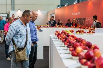 &nbsp;MacFrut faire Angola Rimini