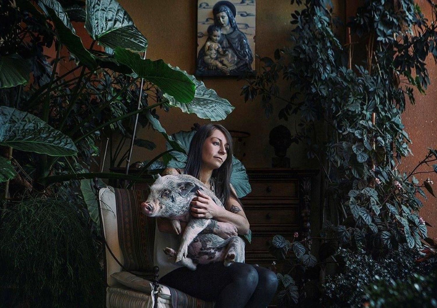 mostra &quot;Animal Lovers&quot; di Diana Bagnoli (Istituto Italiano di Cultura di Sydney)