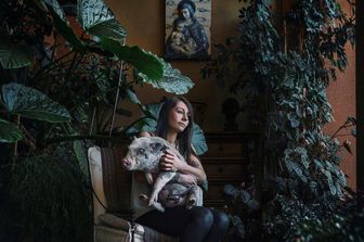 mostra &quot;Animal Lovers&quot; di Diana Bagnoli (Istituto Italiano di Cultura di Sydney)