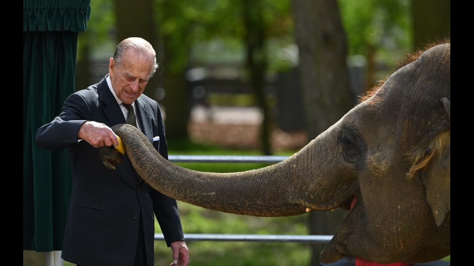 &quot;Sordi? Se state l&igrave; vicino, ci credo che siete sordi&quot;, rivolto a un gruppo di giovani sordi a Cardiff, nel 1999, vicino alla banda di tamburi della scuola(Nella foto, il Principe Filippo in una delle ultime uscite, allo Zoo ZSL Whipsnade a Whipsnade, a nord di Londra, l'11 aprile 2017 - Afp)&nbsp;