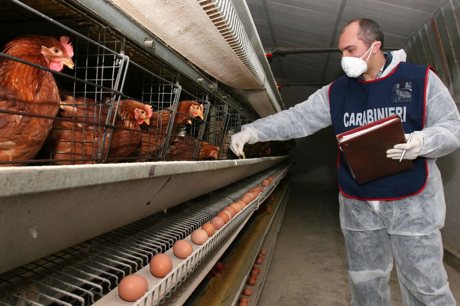 carabinieri Nas (agf)&nbsp;