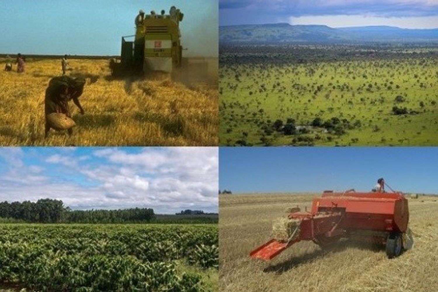 Veronafiere International&nbsp;