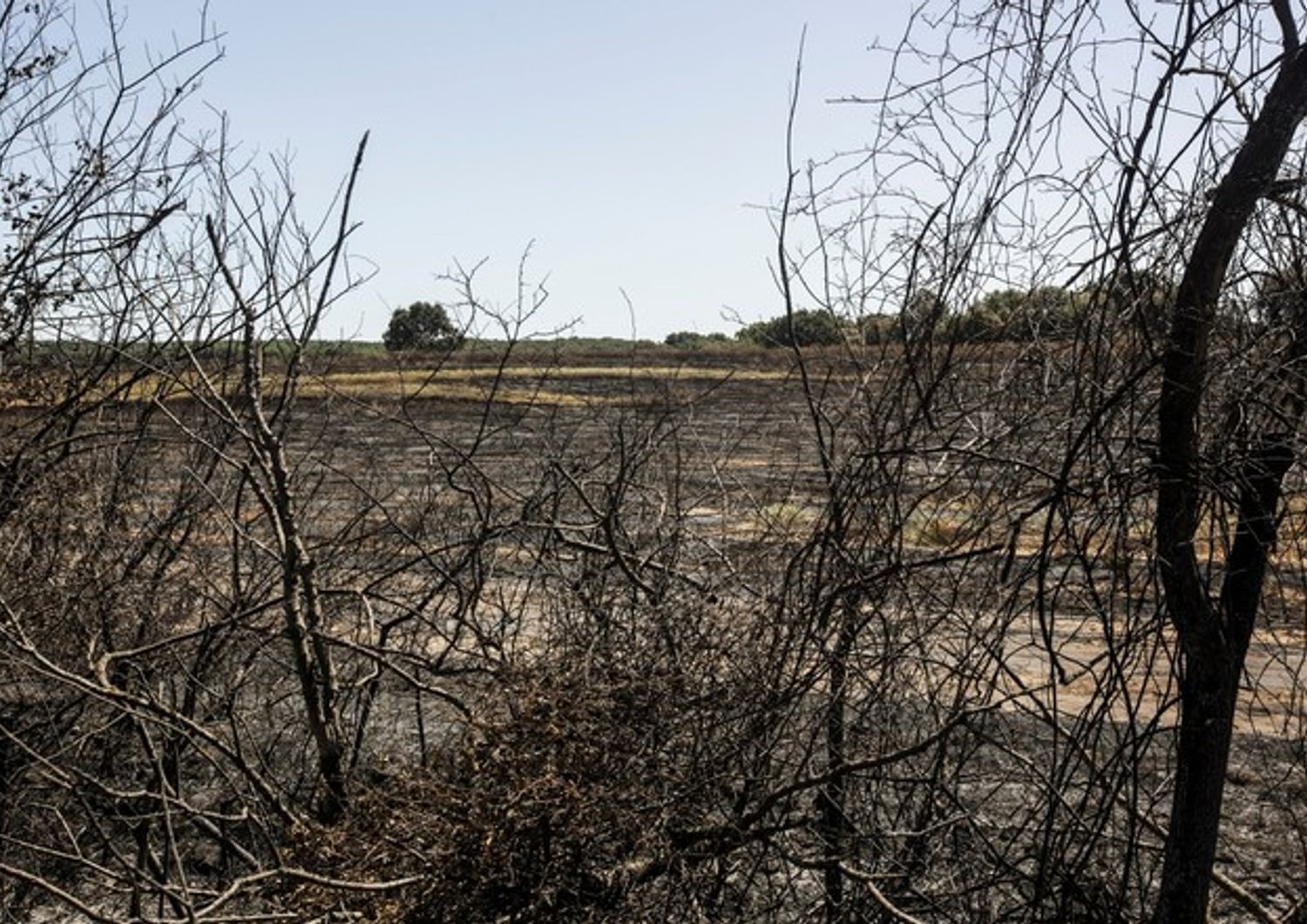 &nbsp;Incendio sulla Pontina (Agf)