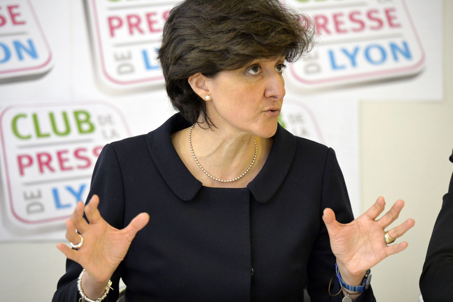 Sylvie Goulard (Afp)